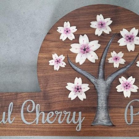Peaceful Cherry Place بورتوروز المظهر الخارجي الصورة