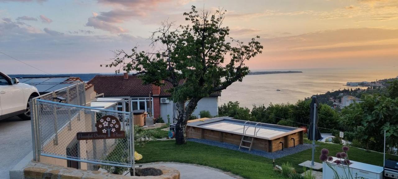Peaceful Cherry Place بورتوروز المظهر الخارجي الصورة